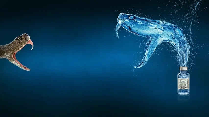 crofab-snake-header